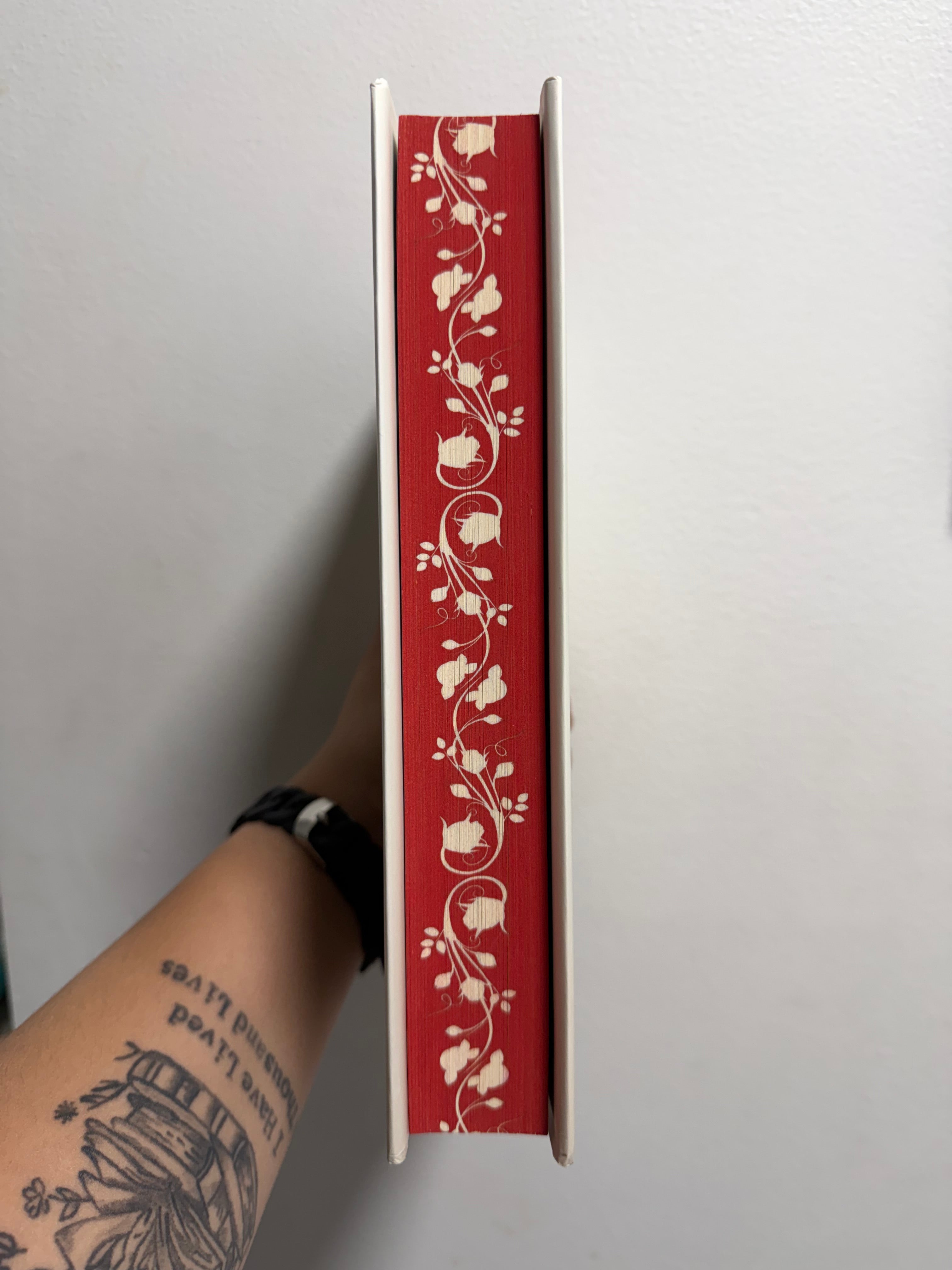 Bloodguard by Cecy Robson