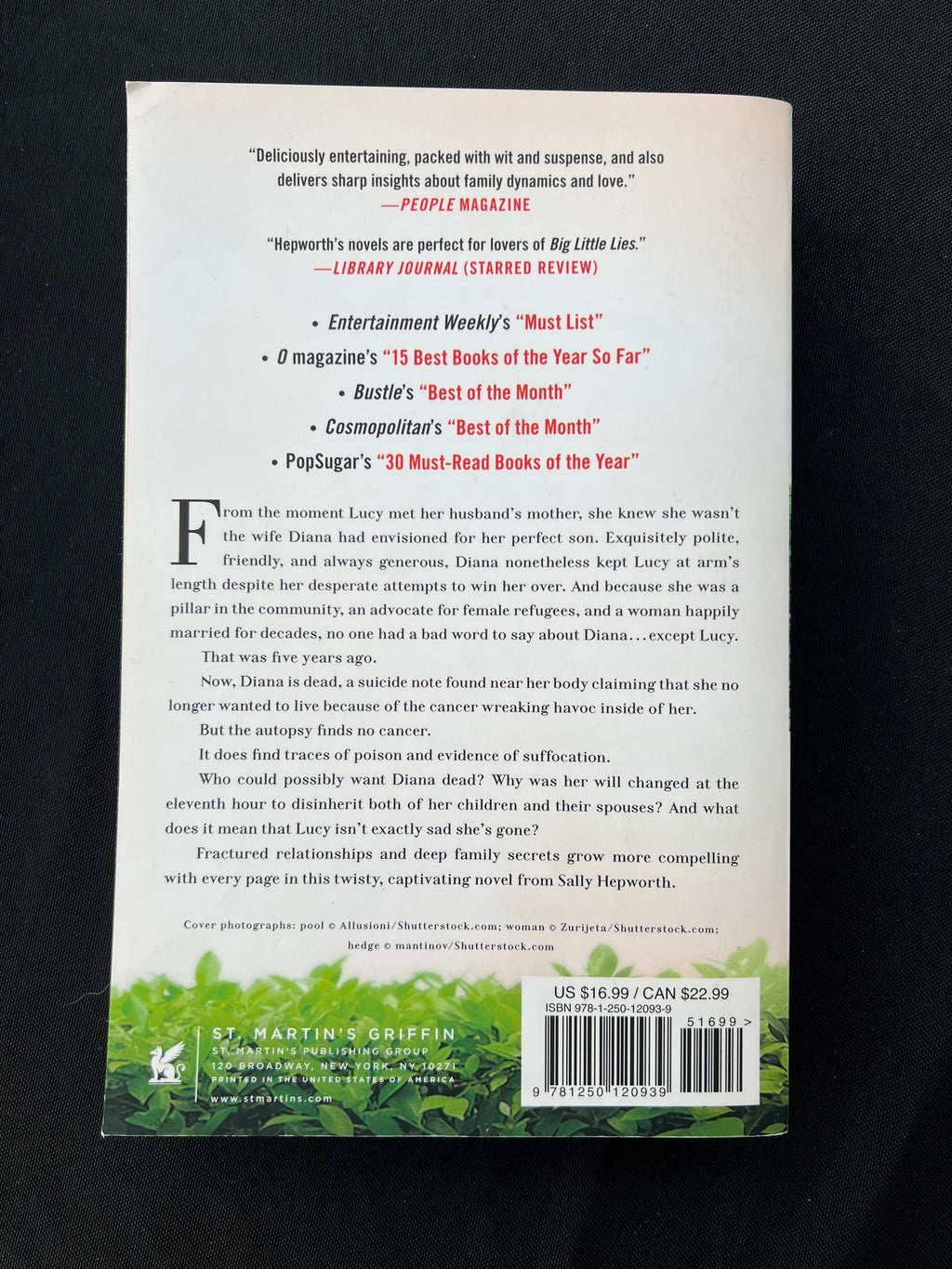 The Mother-In-Law by Sally Hepworth