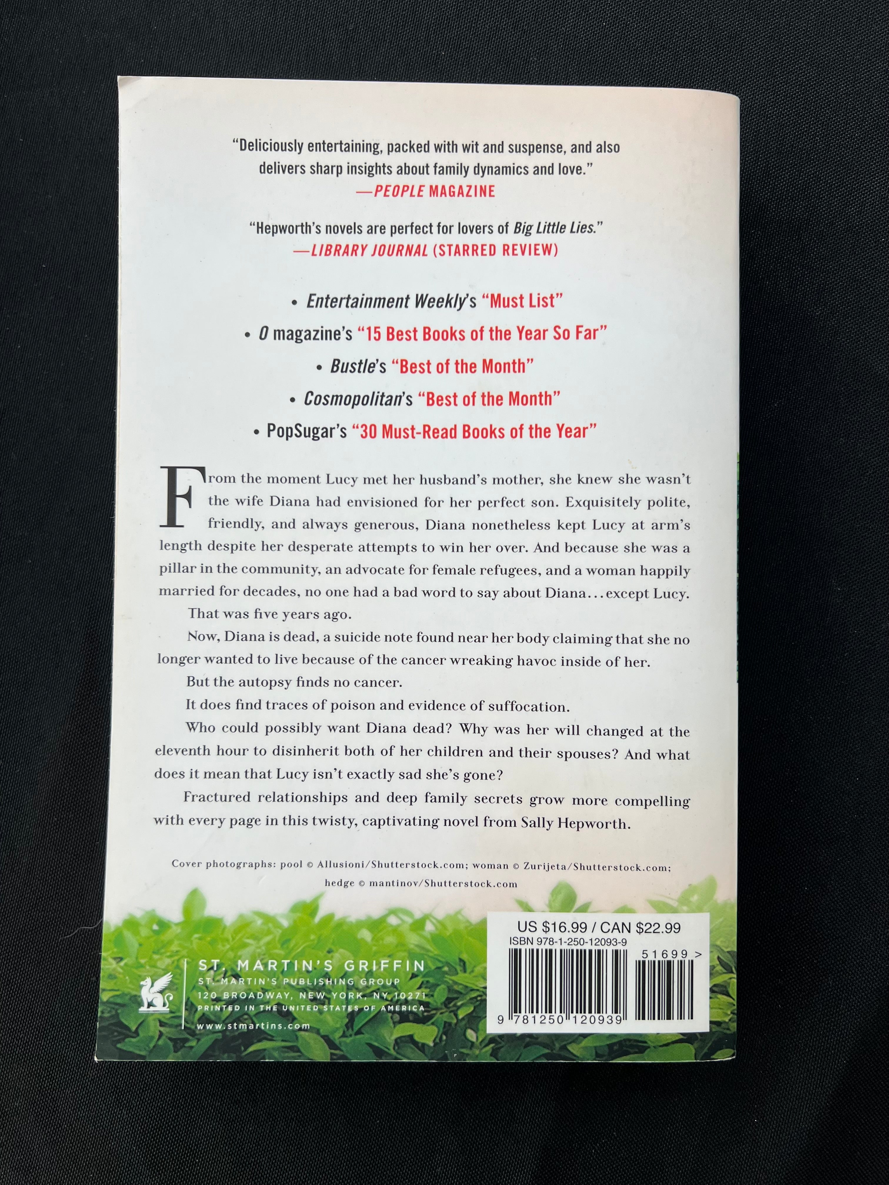 The Mother-In-Law by Sally Hepworth