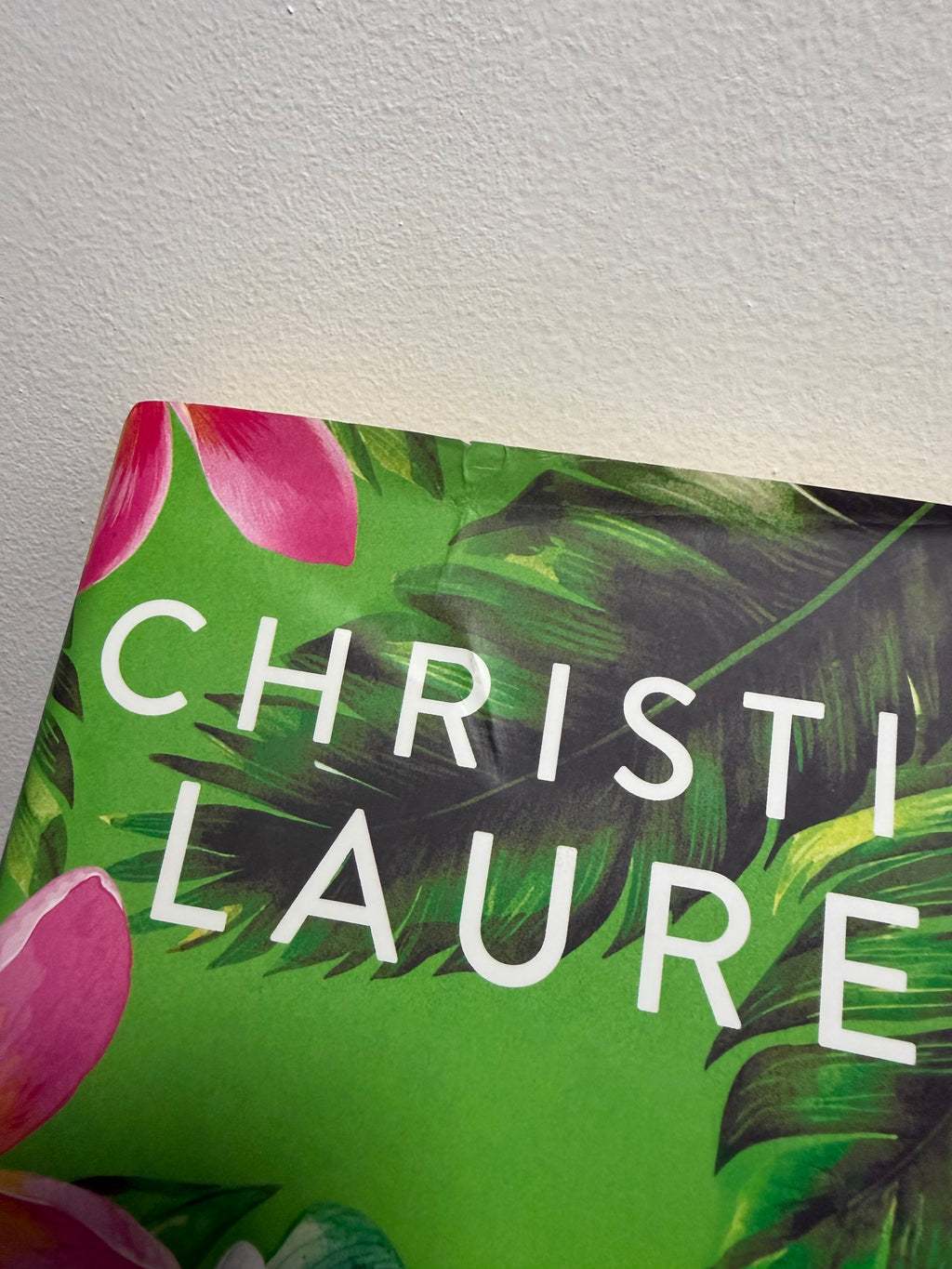 The Paradise Problem by Christina Lauren