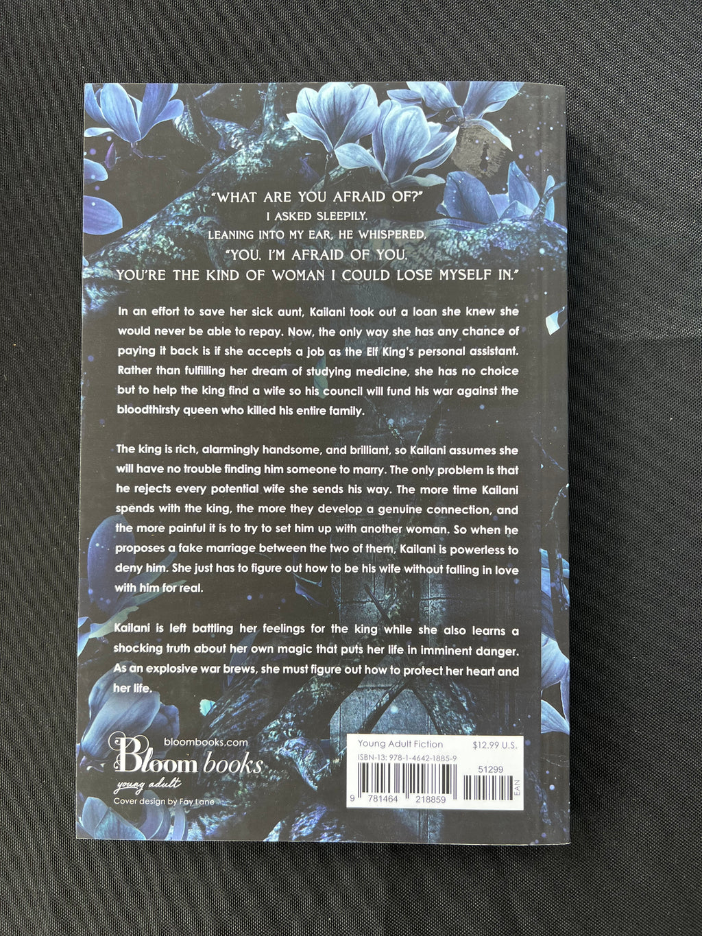 The Broken Elf King by Leia Stone