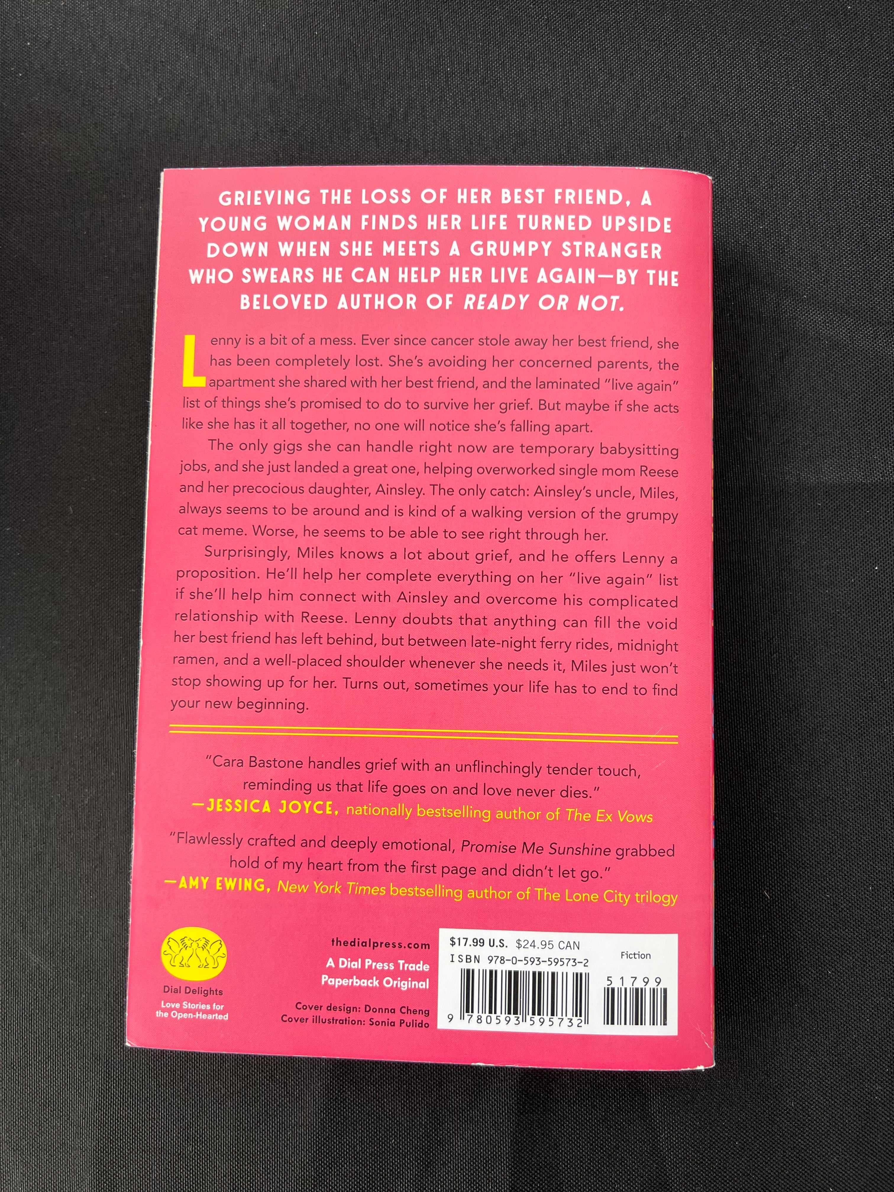 Promise Me Sunshine by Cara Bastone