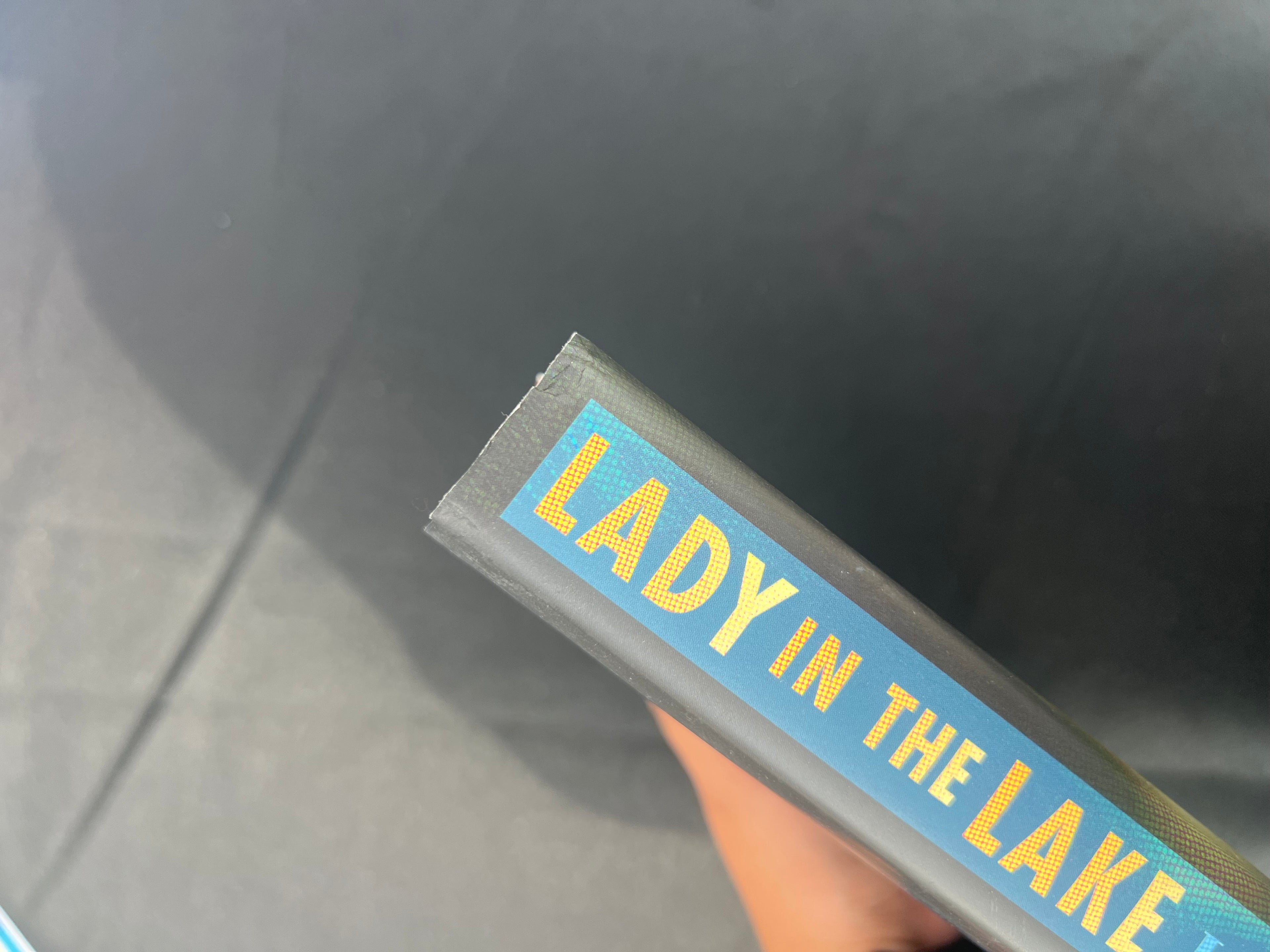 Lady In The Lake by Laura Lippman